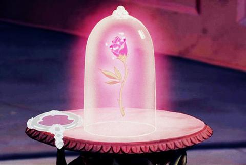 beauty-and-the-beast-flower-mirror-pink-rose-Favim.com-122786