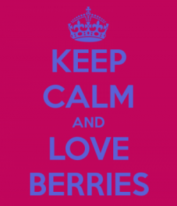 We Love Berries